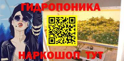 хмурый Можга