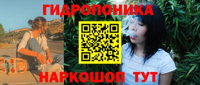 хмурый Можга