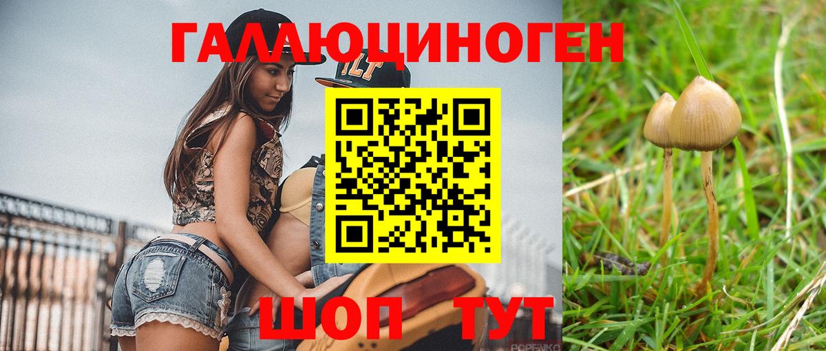 Псилоцибиновые грибы прущие грибы  Вход с VPN  Сосновый Бор 