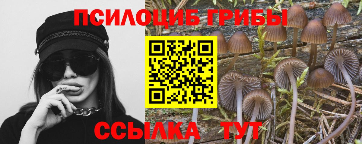 Псилоцибиновые грибы Magic Shrooms Сосновый Бор